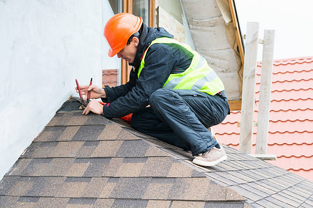 Best Roof Gutter Cleaning  in Red Cloud, NE